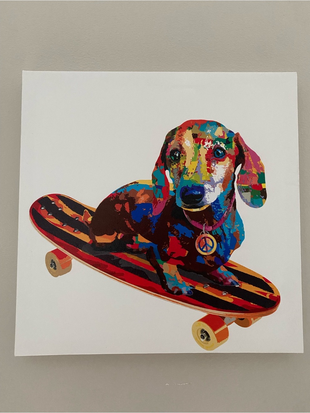 Colorful Dachshund Skateboard Pet Wall Art - Multicolor canvas